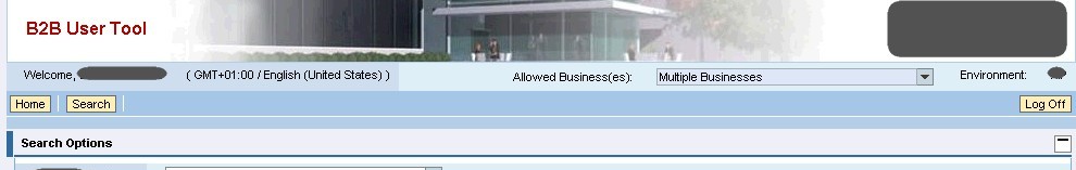 SAP PI Message Monitor for Business Users