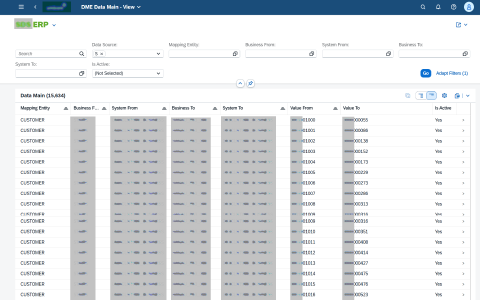 Data Viewer — SAP ERP Source